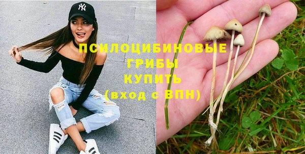 мяу мяу кристалл Алексин